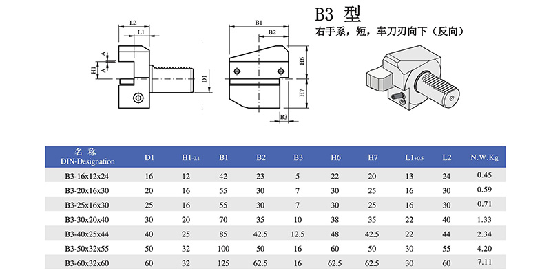梦之城